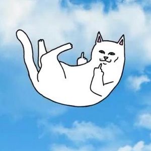 Meet your Posher, Zachary